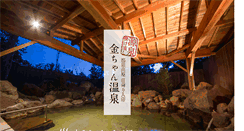 Desktop Screenshot of kinchan-onsen.com